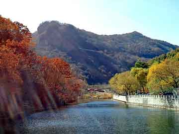 新澳天天开奖资料大全旅游团，卡簧生产厂家